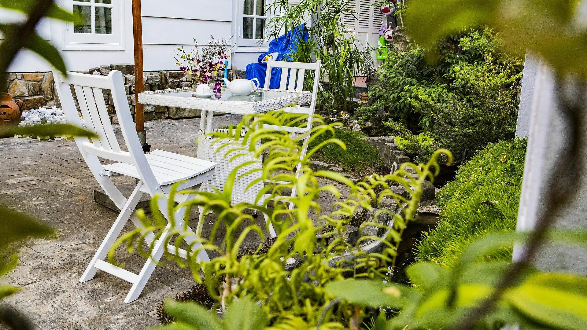הוי אן Old Well Homestay  הוי אן